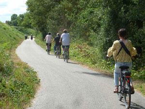 Location de vélo électrique batterie Bosch Active Cruise 500 Wh Lithium-Ion