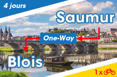 Loire à vélo : 4 jours en vélo électrique de Saumur à Blois